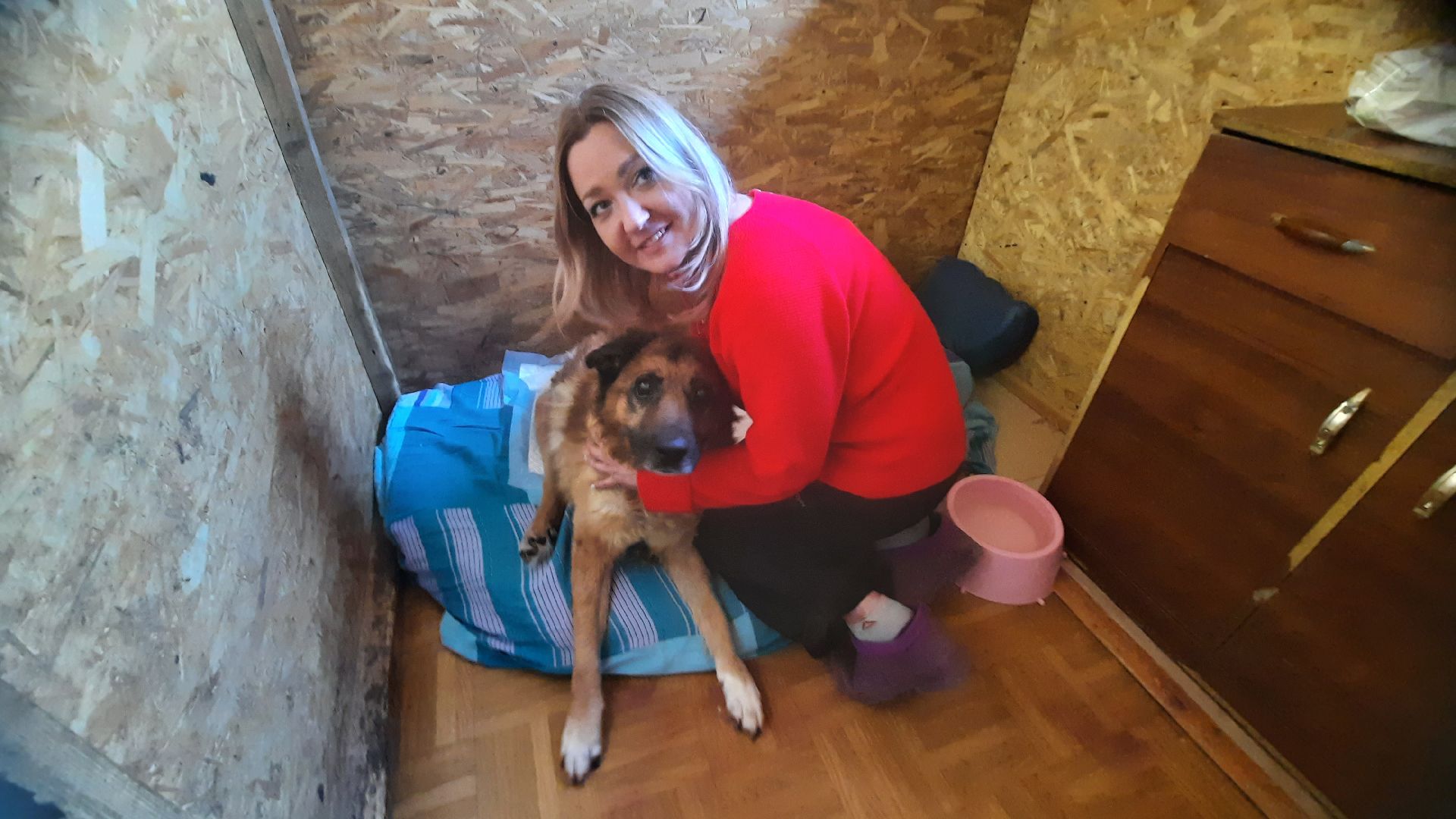 Приют для животных, волонтёры, собаки-инвалиды, Наро-Фоминск