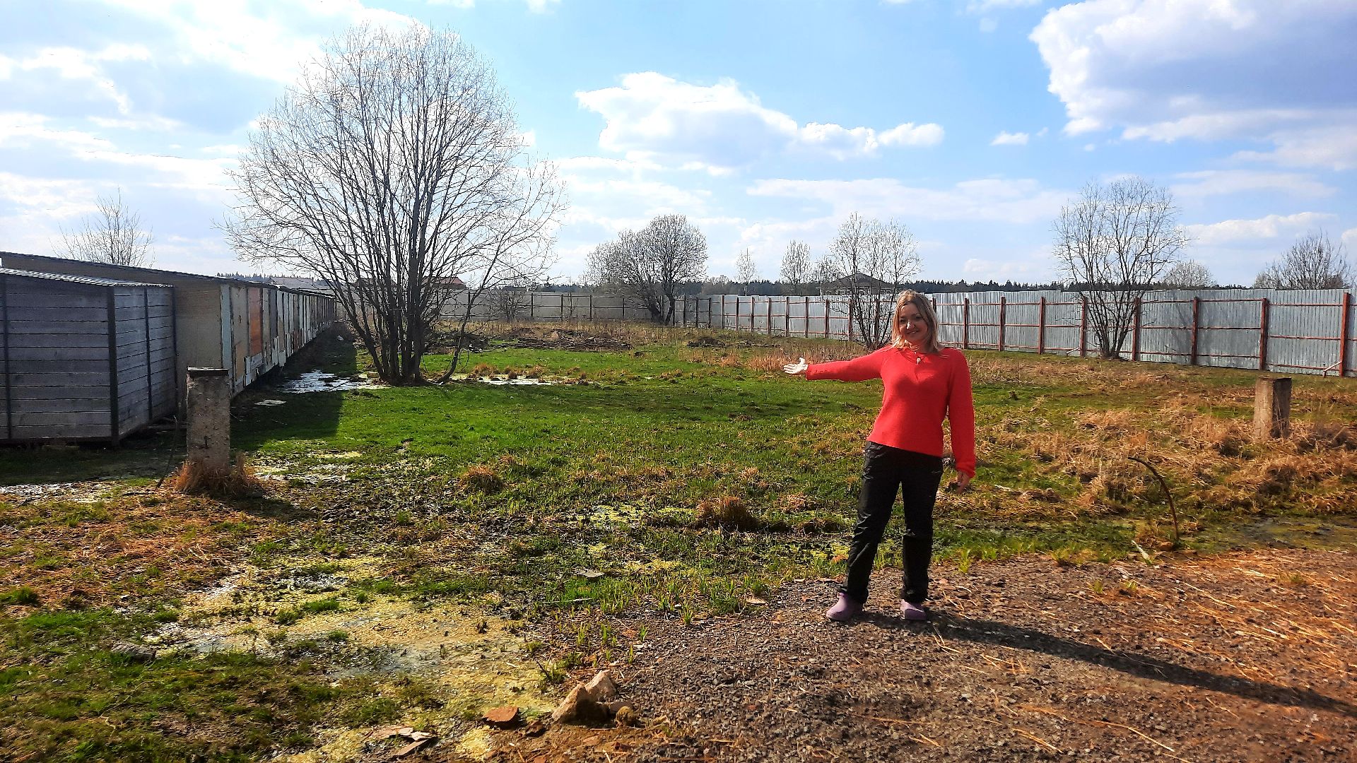 Приют для животных, волонтёры, собаки-инвалиды, Наро-Фоминск