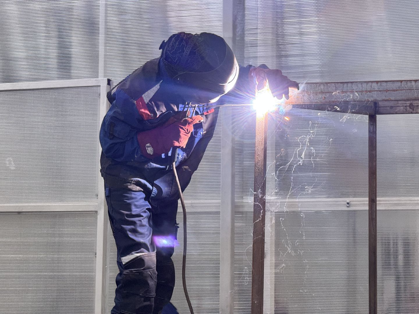 шаховская, завод, производство, новые рабочие места,