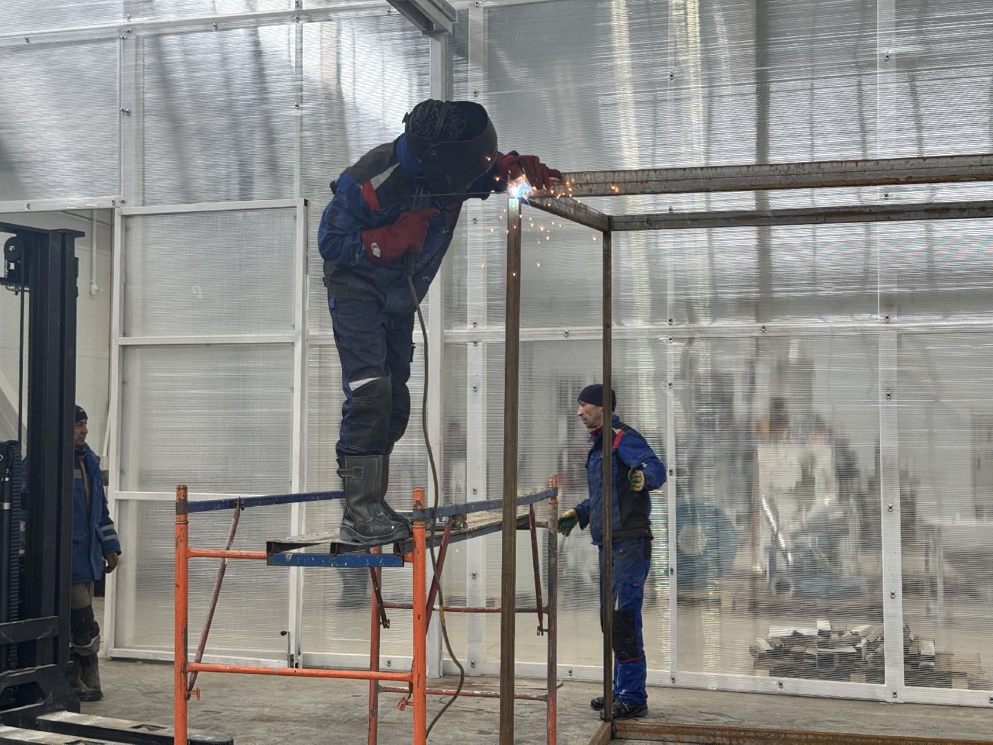 шаховская, завод, производство, новые рабочие места,