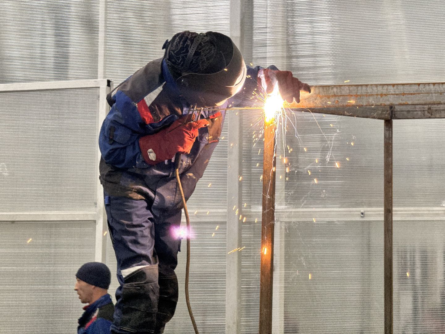 шаховская, завод, производство, новые рабочие места,