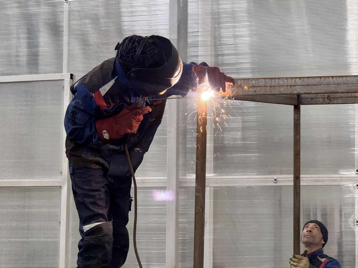 шаховская, завод, производство, новые рабочие места,