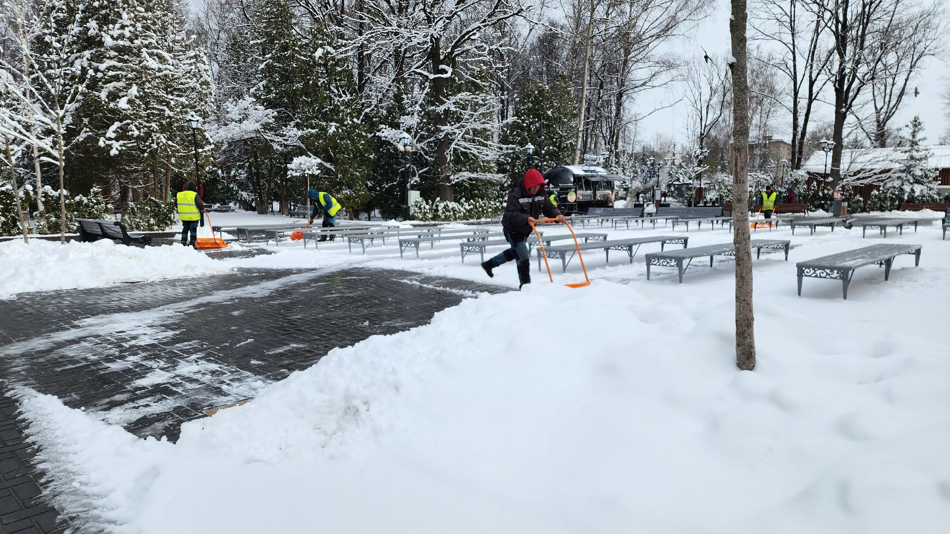 истра, парки, уборка снега,
