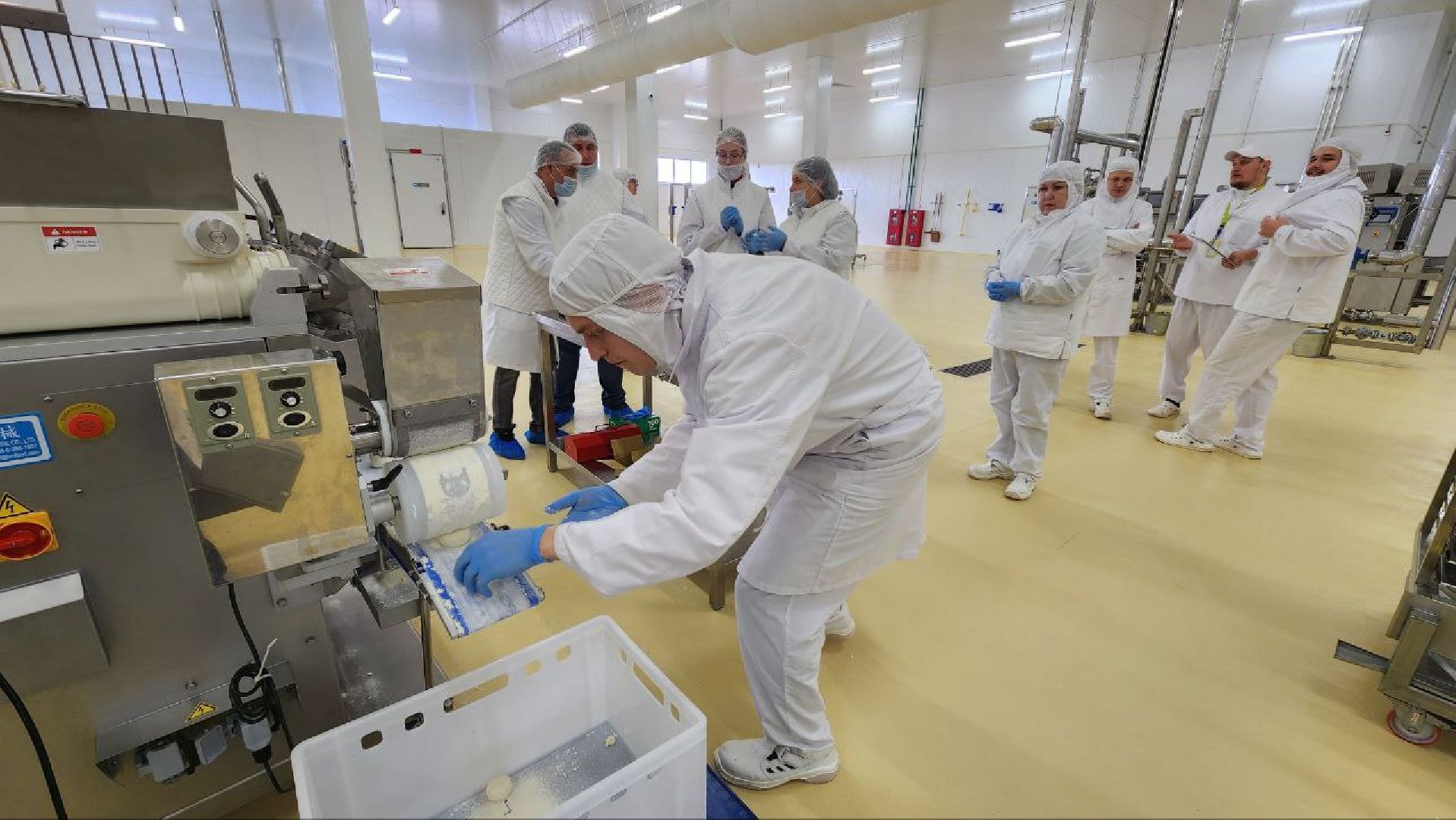 Дмитров, Завод Сектор, Готовые обеды, Мининвест,