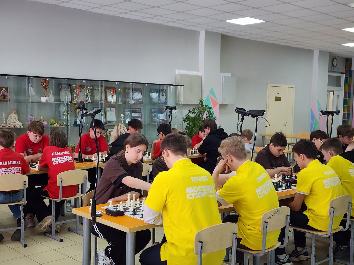 королёв, шахматы в московской области, школьная лига, образование в подмосковье, спорт в подмосковье,