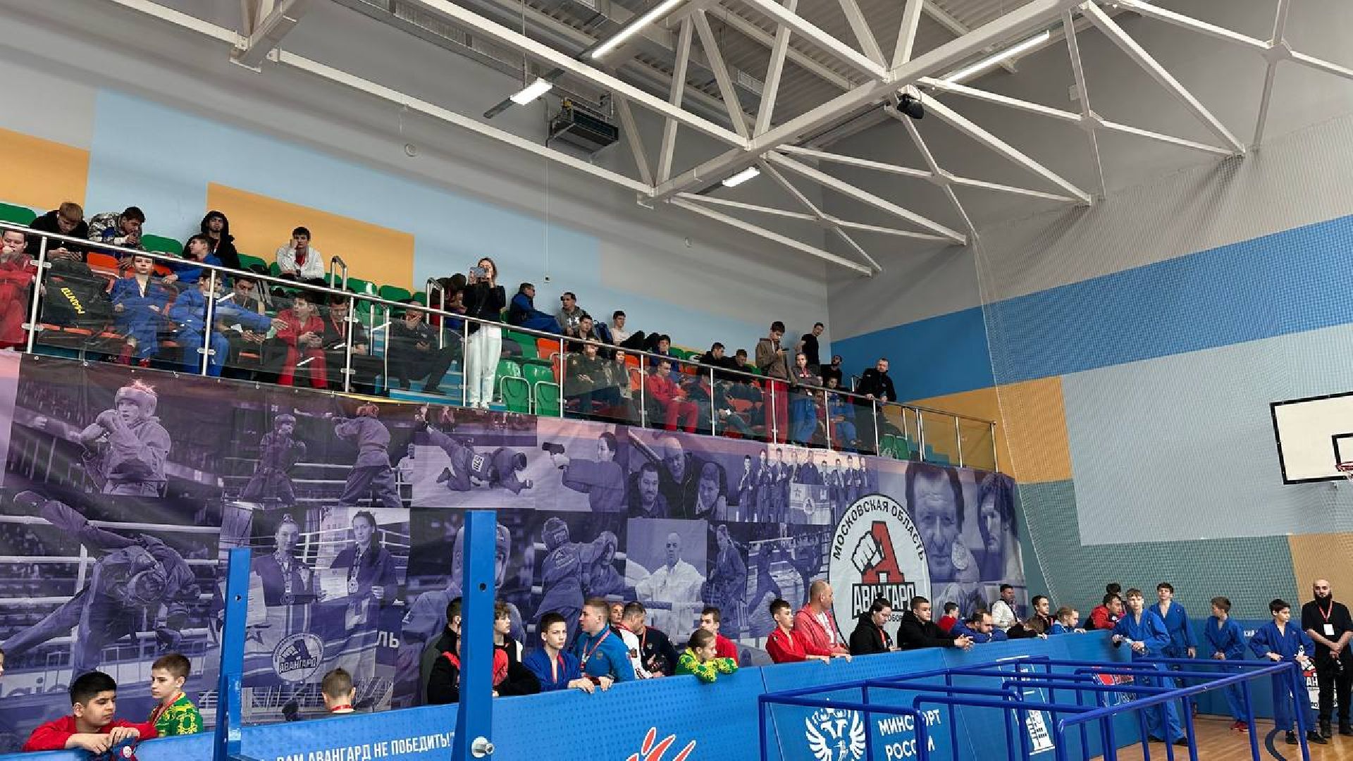 спорт, домодедово,