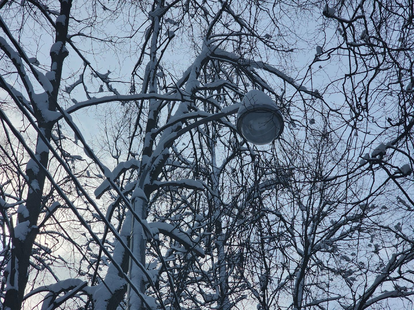королёв, мемориал славы, благоустройство, день победы,