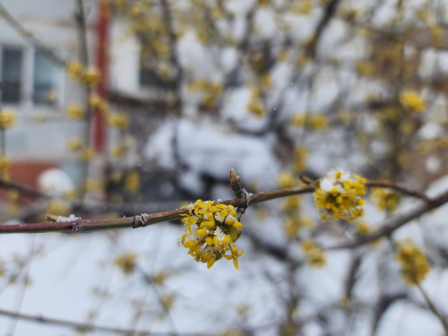 королёв, метель, уборка снега и наледи королев,