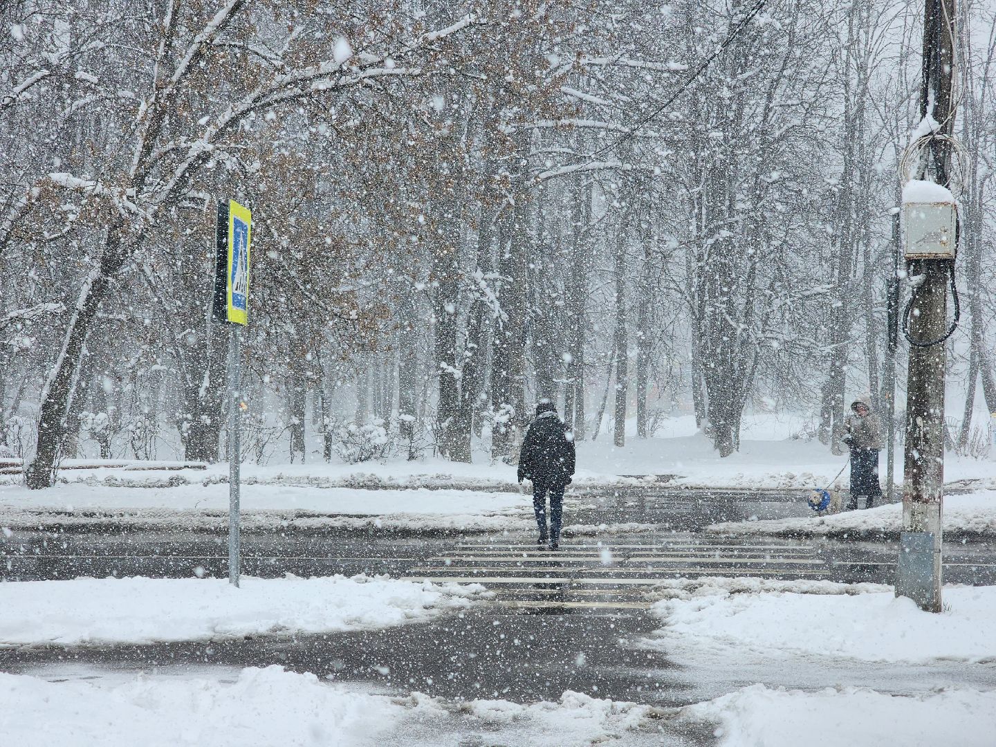 королёв, метель, уборка снега и наледи королев,