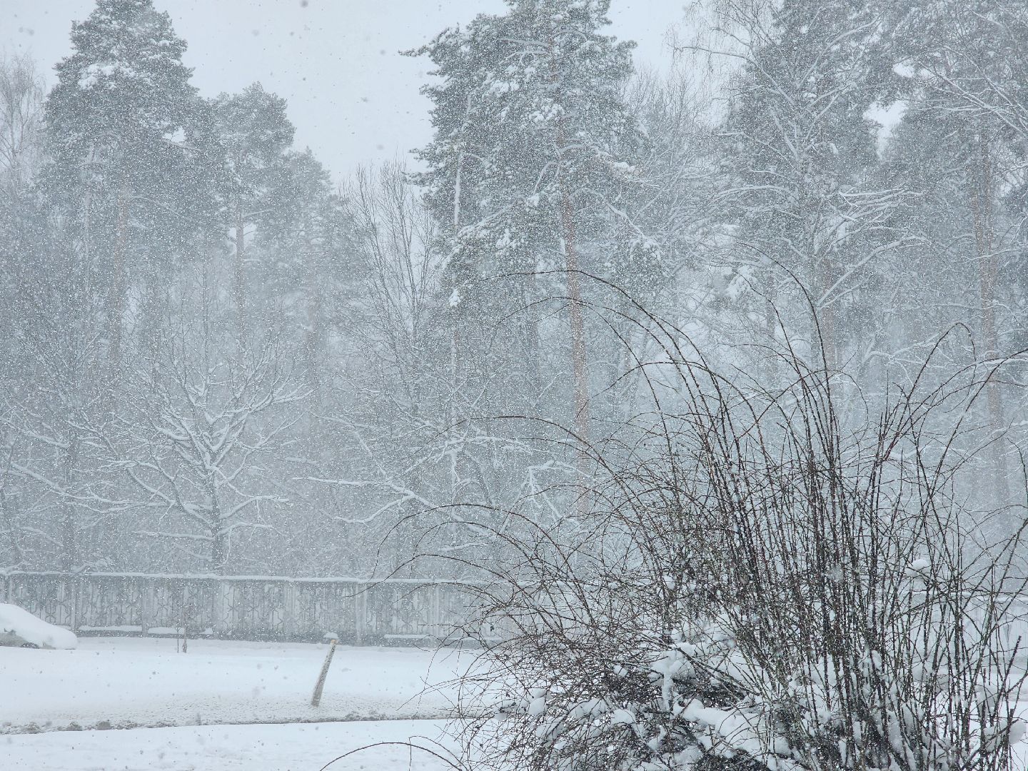 королёв, метель, уборка снега и наледи королев,