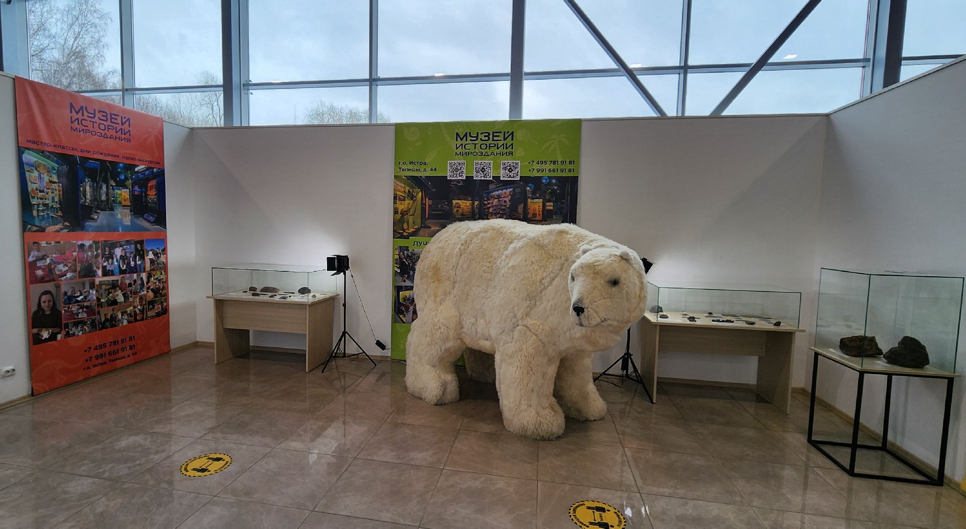 Химки, культура, космонавтика, история,