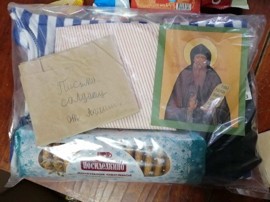 Чехов, волонтеры