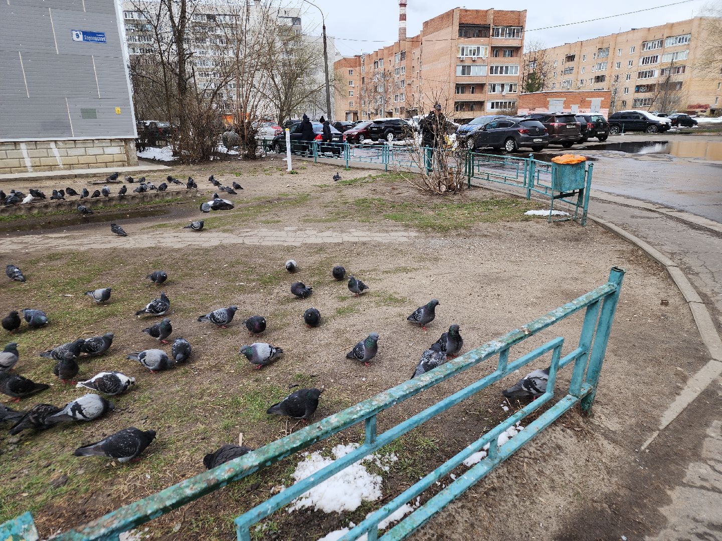 выездная администрация, орехово-зуево, благоустройство,