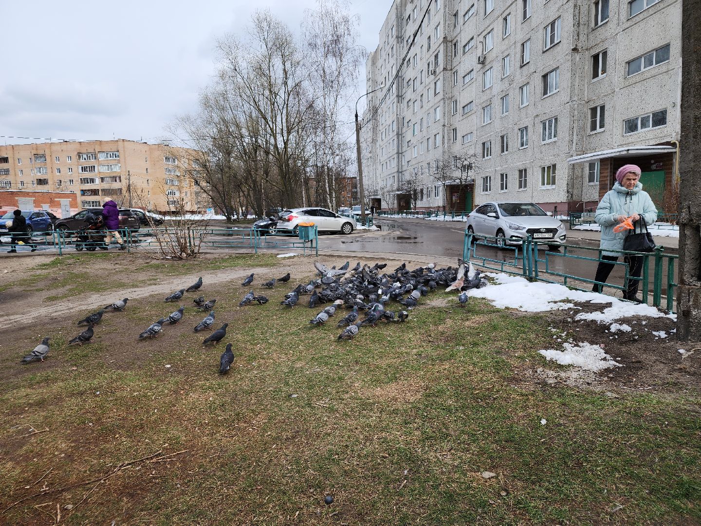 выездная администрация, орехово-зуево, благоустройство,