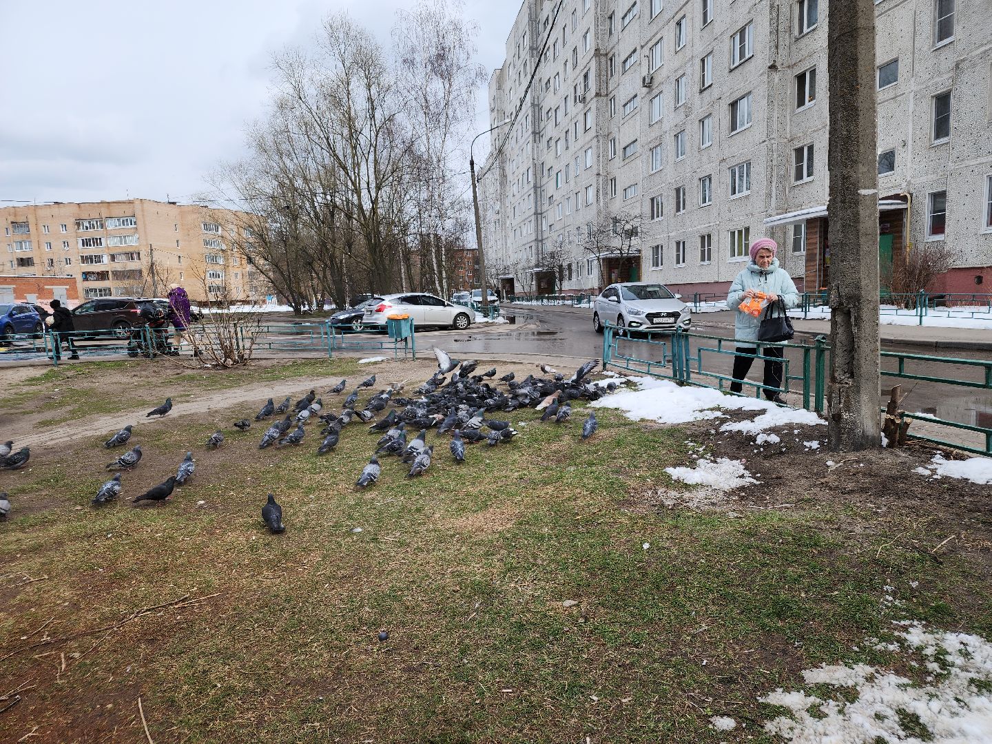выездная администрация, орехово-зуево, благоустройство,