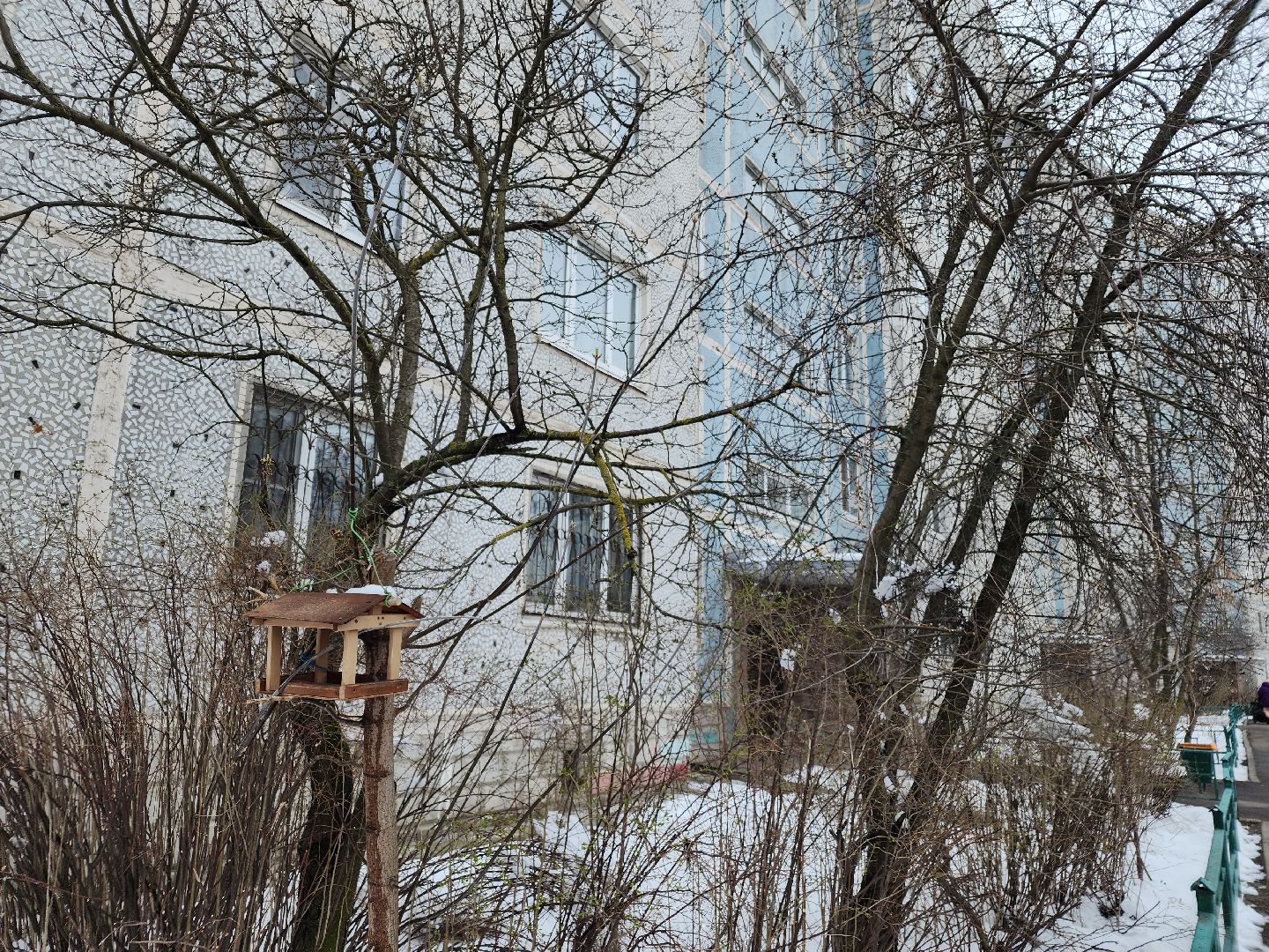 выездная администрация, орехово-зуево, благоустройство,