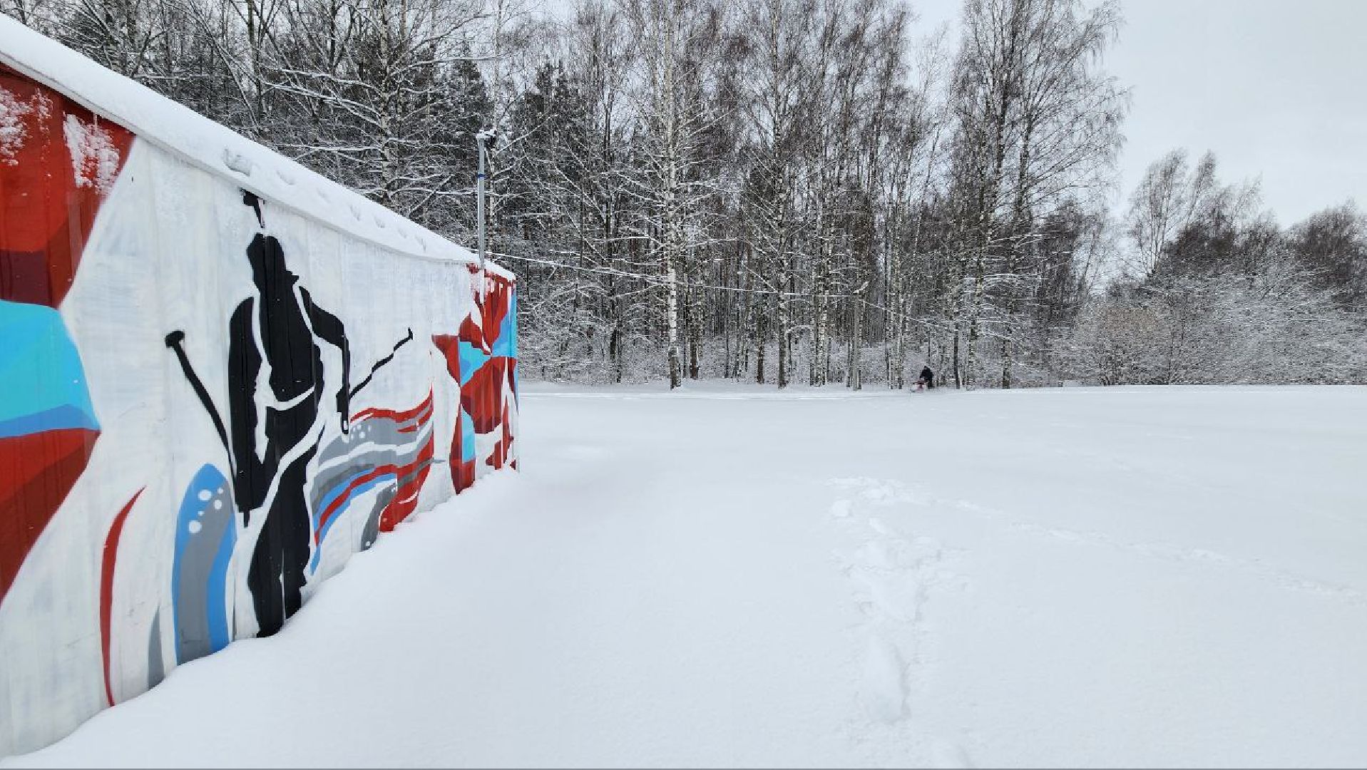 Дмитров, ЦЗВС, Лыжи,