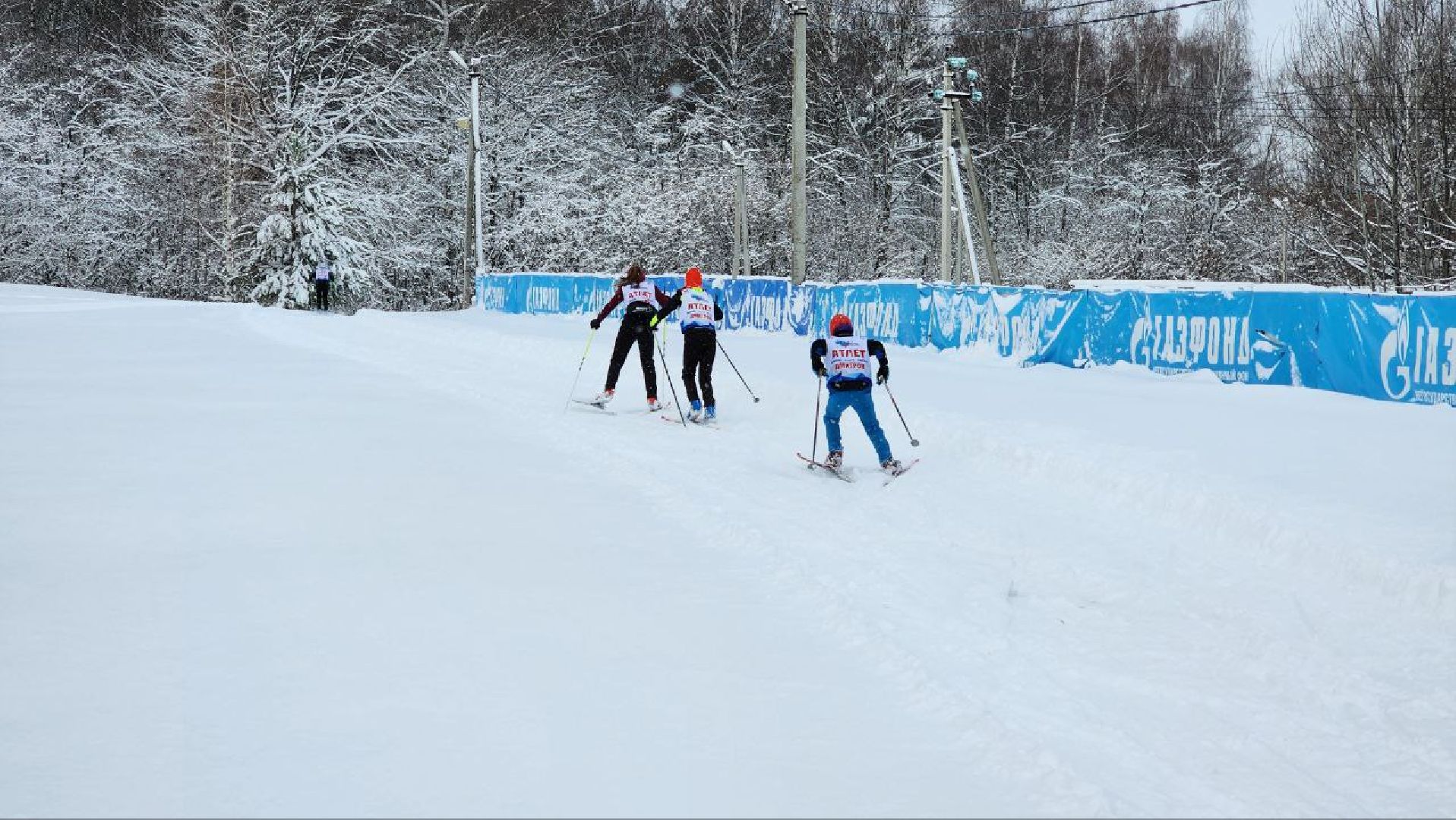 Дмитров, ЦЗВС, Лыжи,
