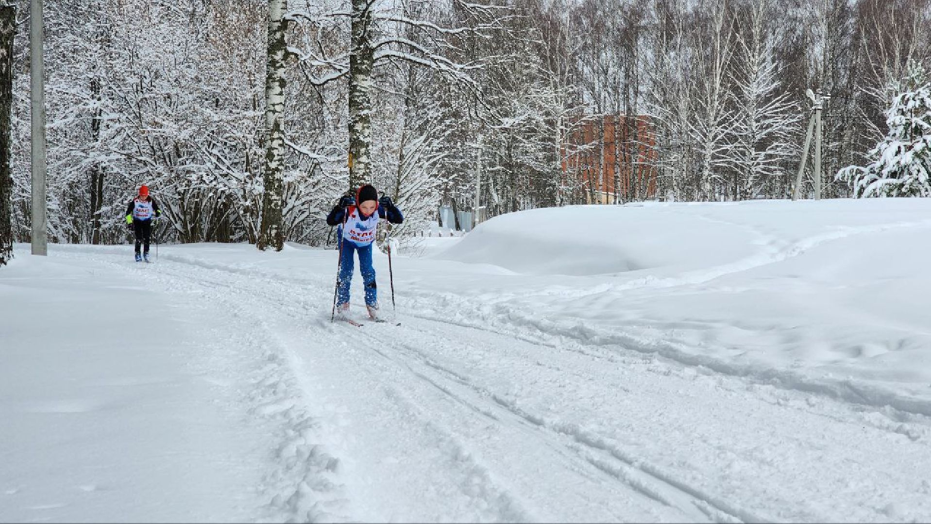 Дмитров, ЦЗВС, Лыжи,