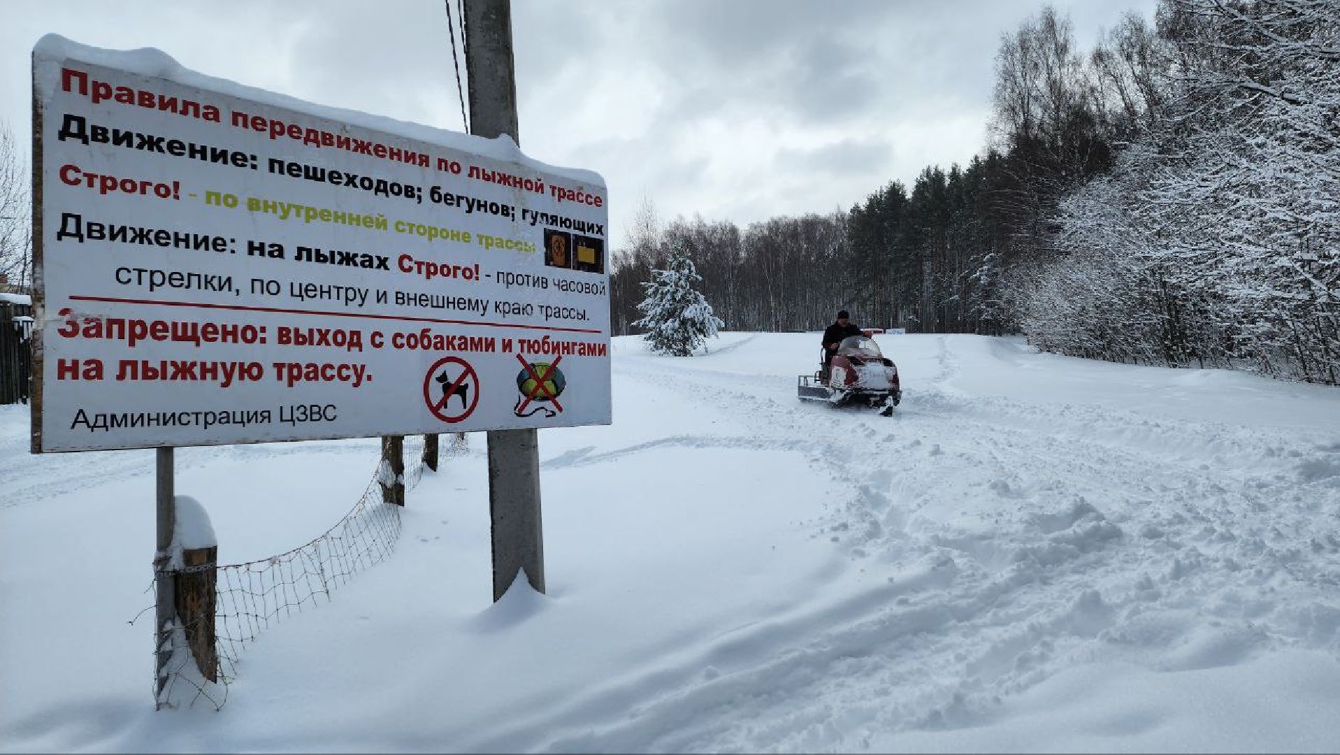 Дмитров, ЦЗВС, Лыжи,