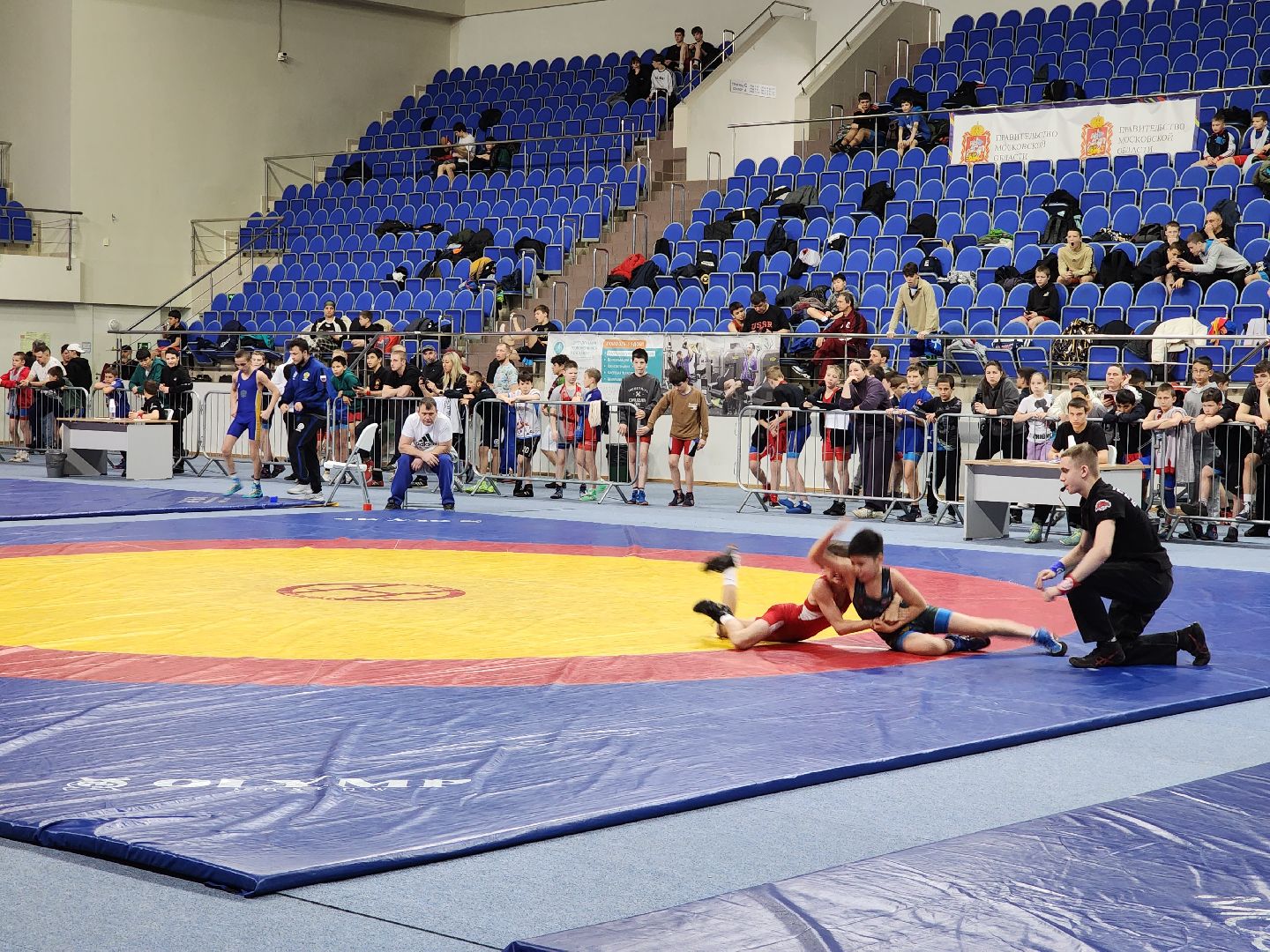 раменское, спорт, юношеский турнир по греко-римской борьбе в спорткомплексе борисоглебский,