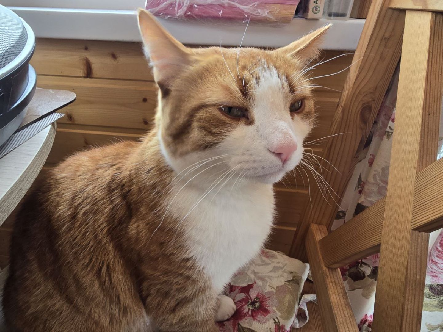 можайск, можайский муниципальный округ, подмосковье, семья, помощь бойцам, сво, спецоперация, военнослужащие, дети,