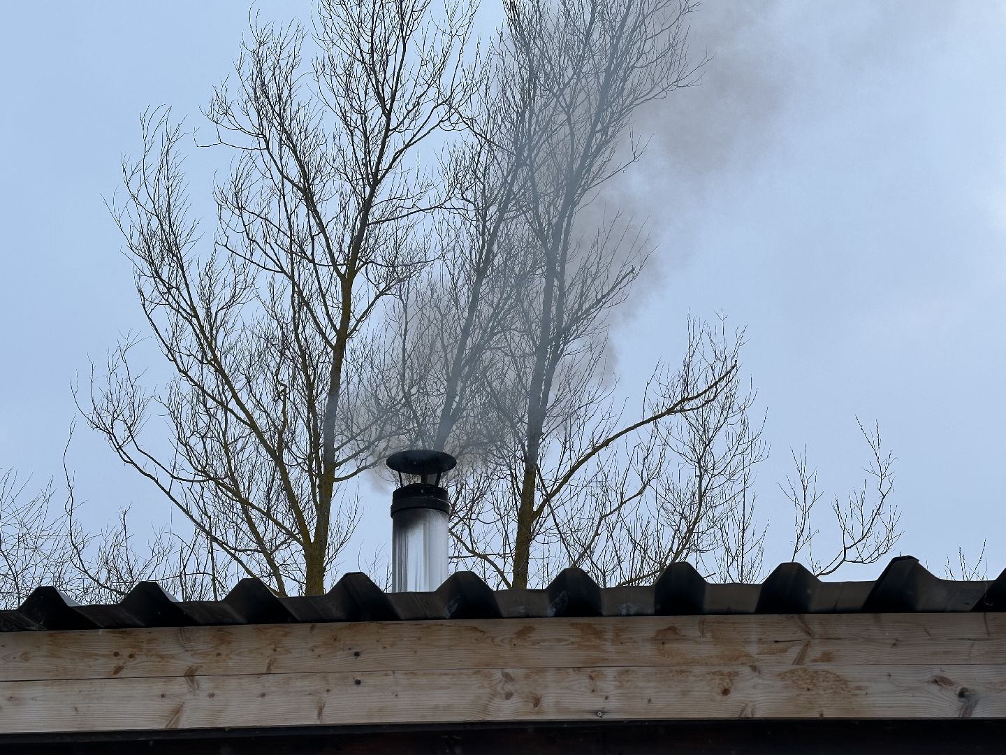 домодедово, закалка, зима, погода,