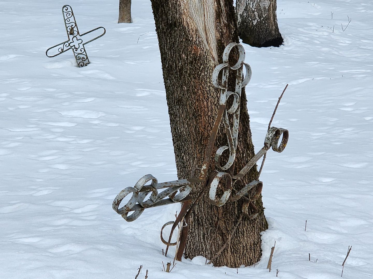 сергиев посад, никольское кладбище, история,