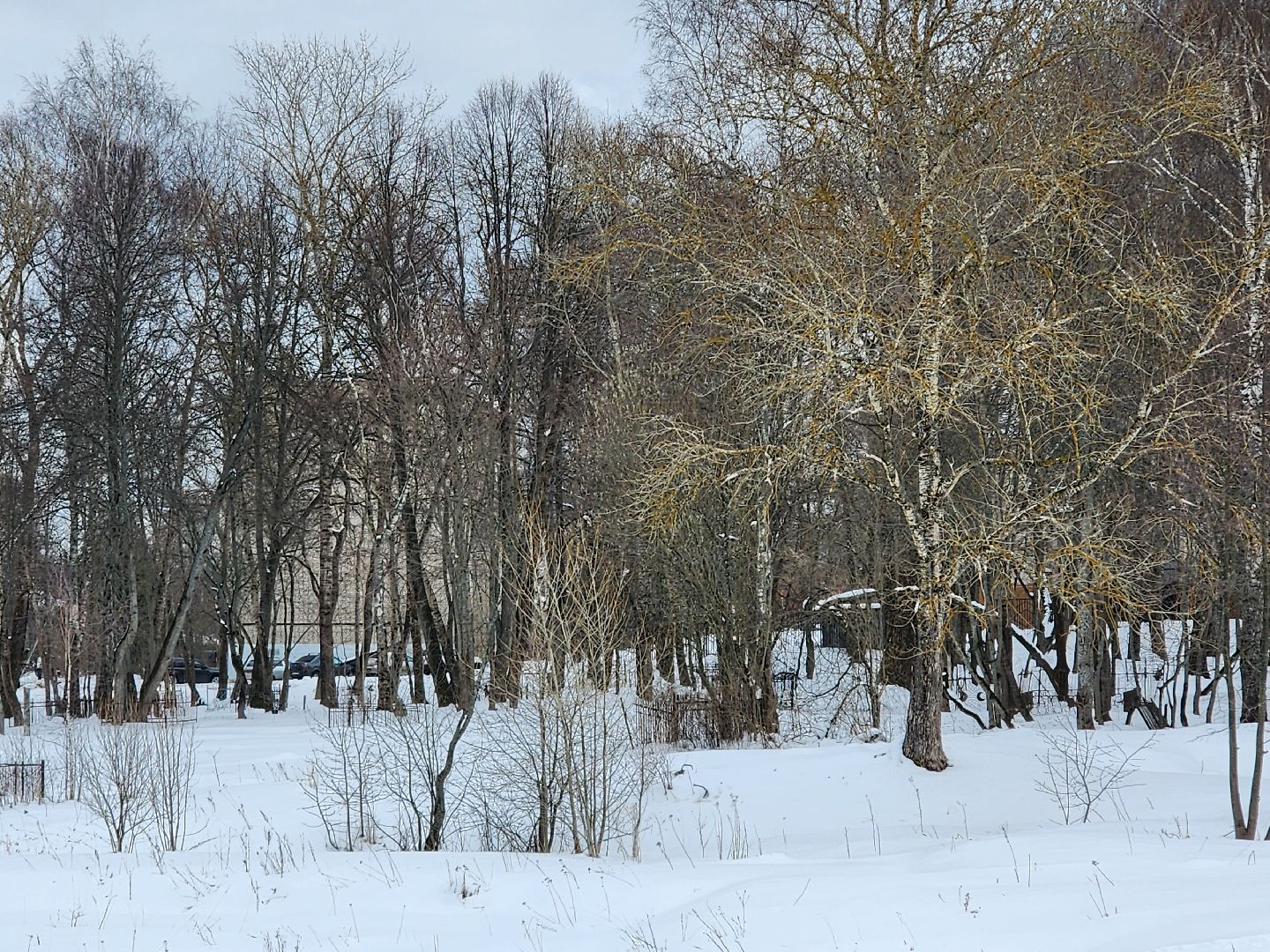 сергиев посад, никольское кладбище, история,
