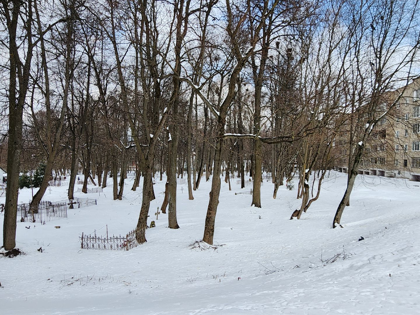 сергиев посад, никольское кладбище, история,