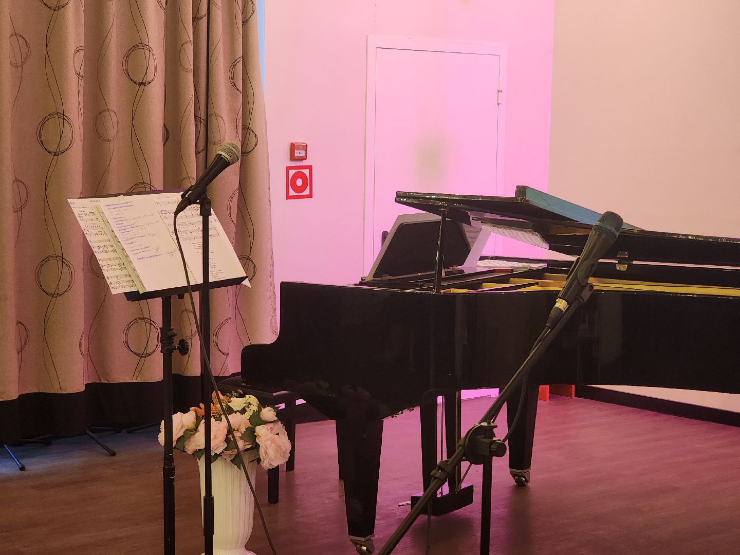 дубна, концерт, библиотека, блохинка,