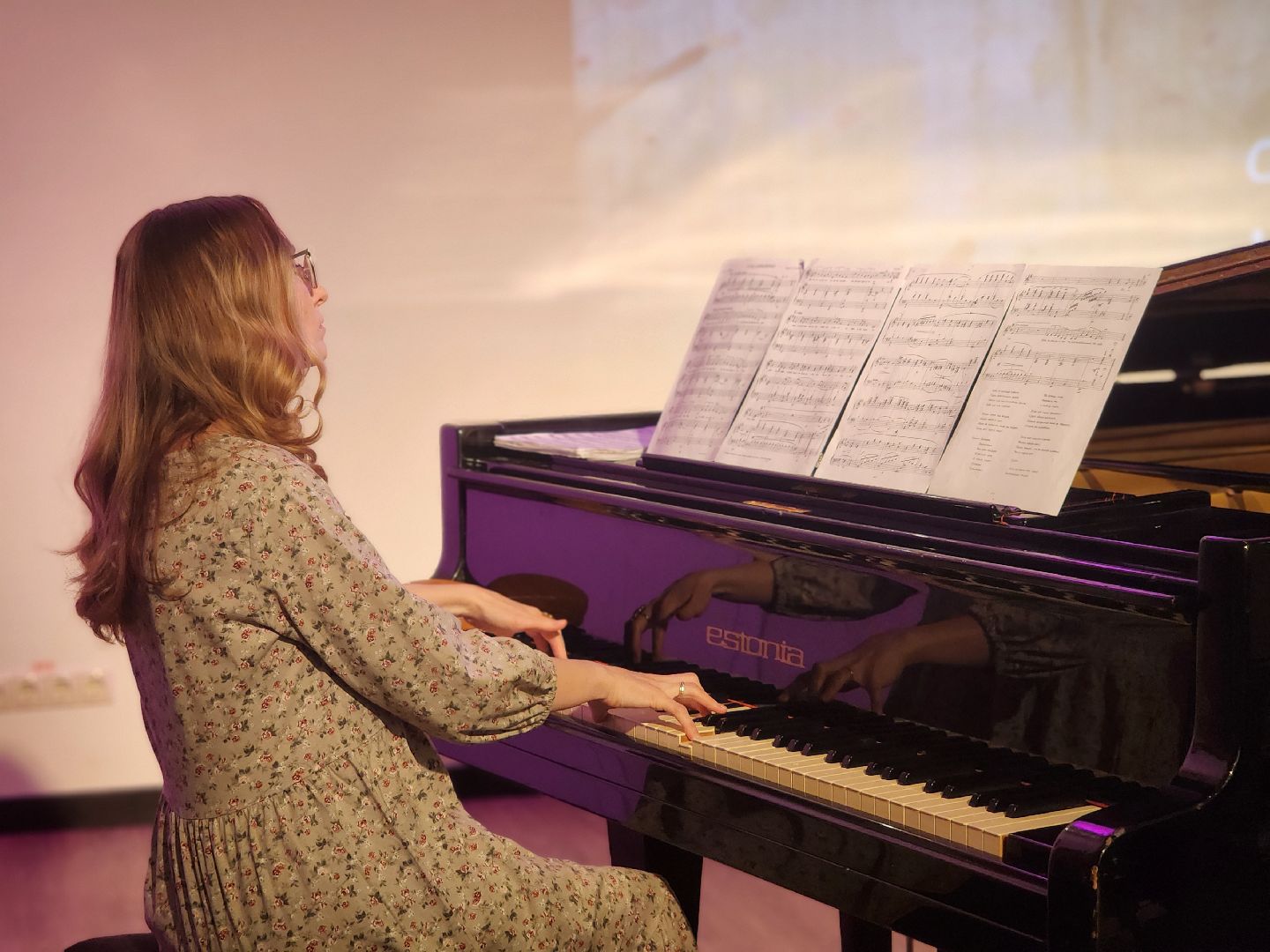 дубна, концерт, библиотека, блохинка,