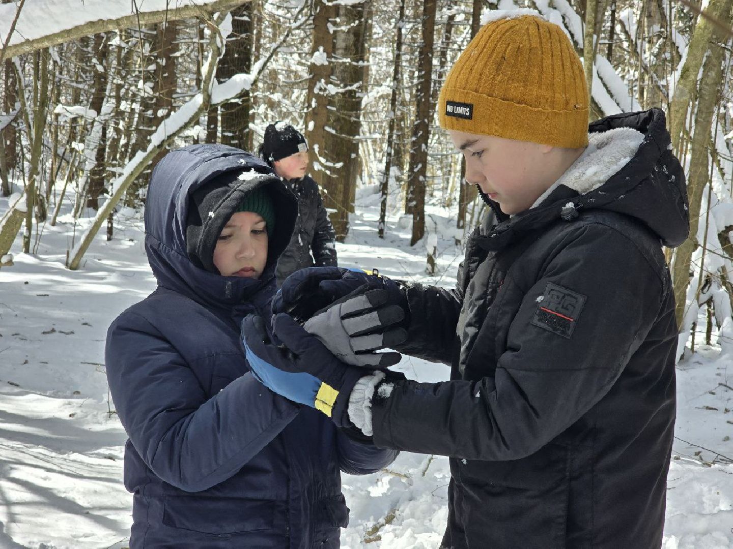 можайск, можайский муниципальный округ, походы, детские походы, дети, здоровый образ жизни,