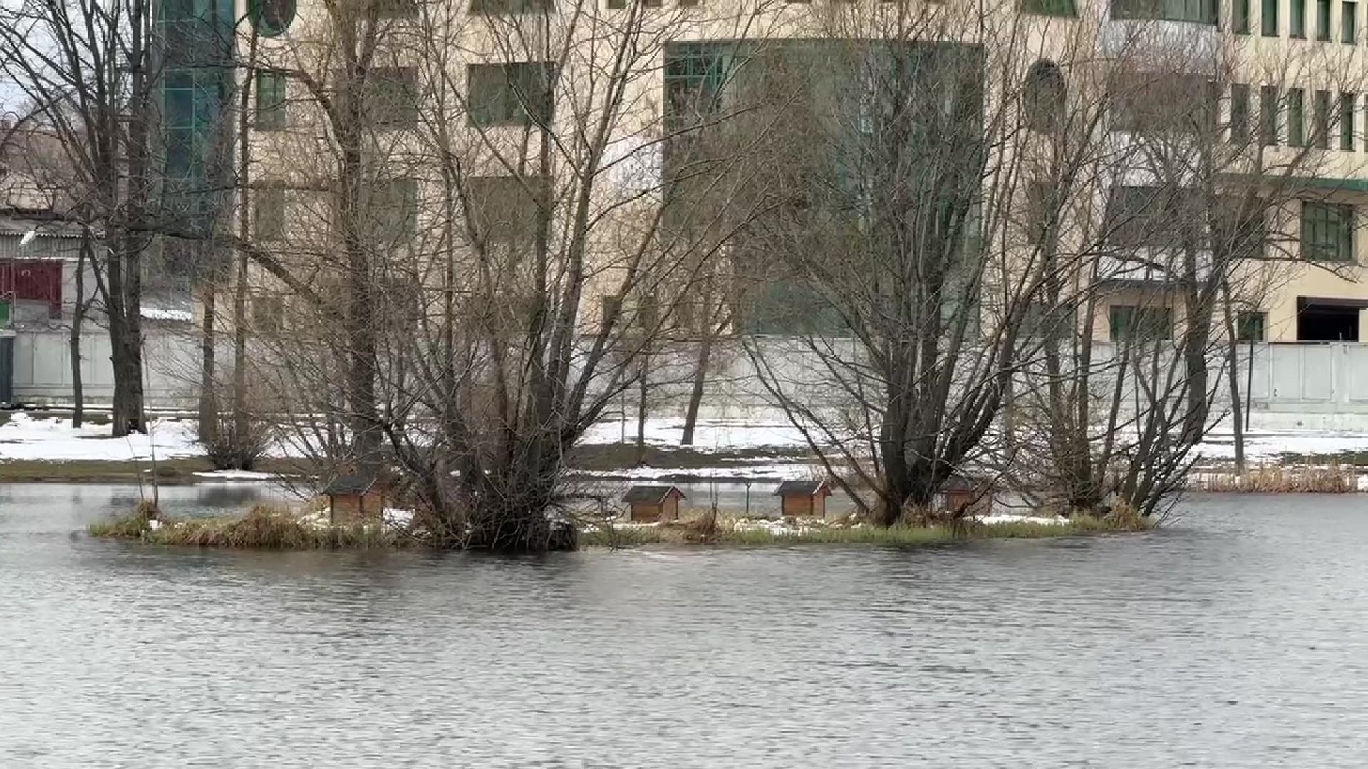 реутов, парк, Фабричный пруд, огари,утки,