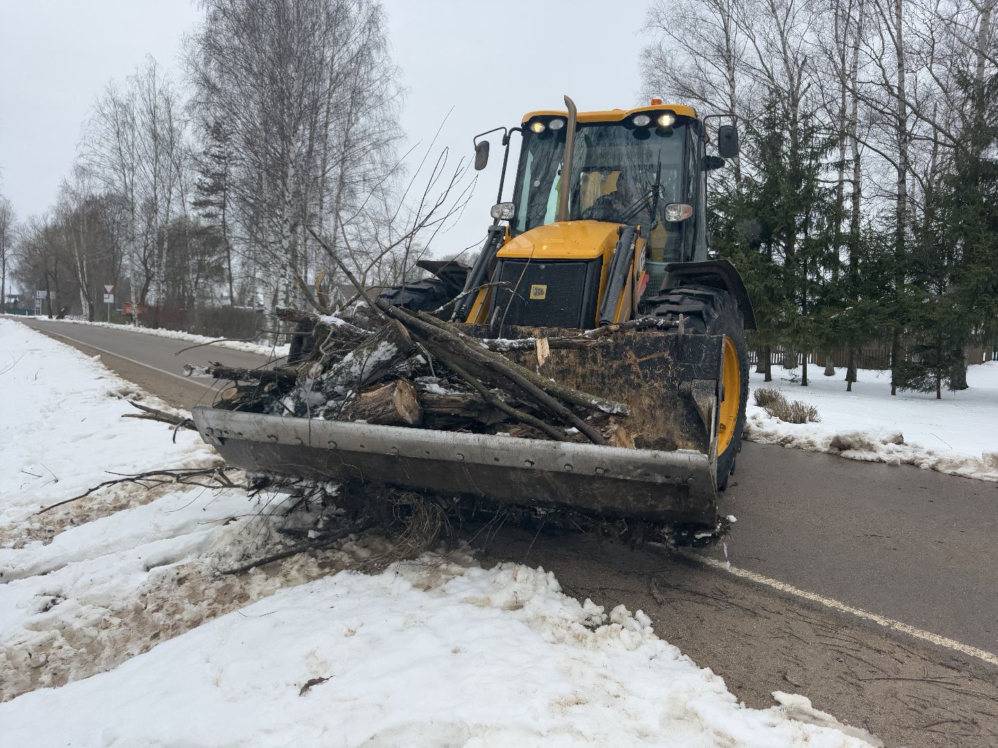 шаховская, выездная администиация, аварийное дерево,