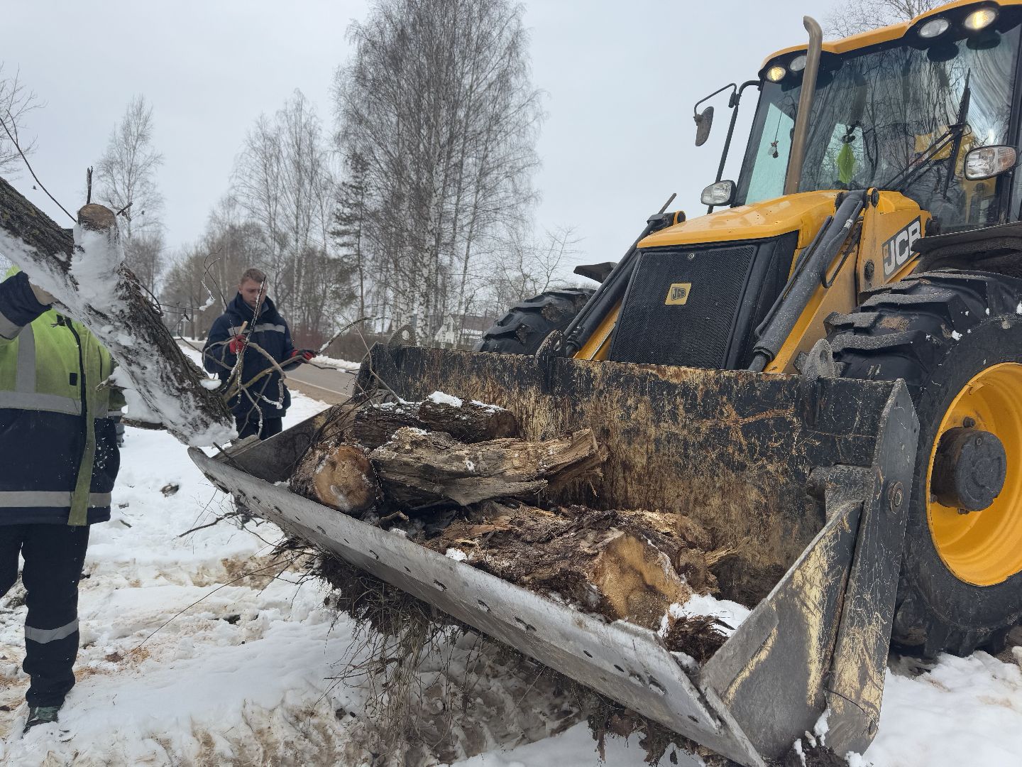 шаховская, выездная администиация, аварийное дерево,
