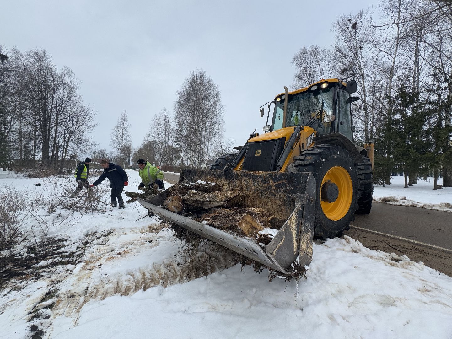 шаховская, выездная администиация, аварийное дерево,