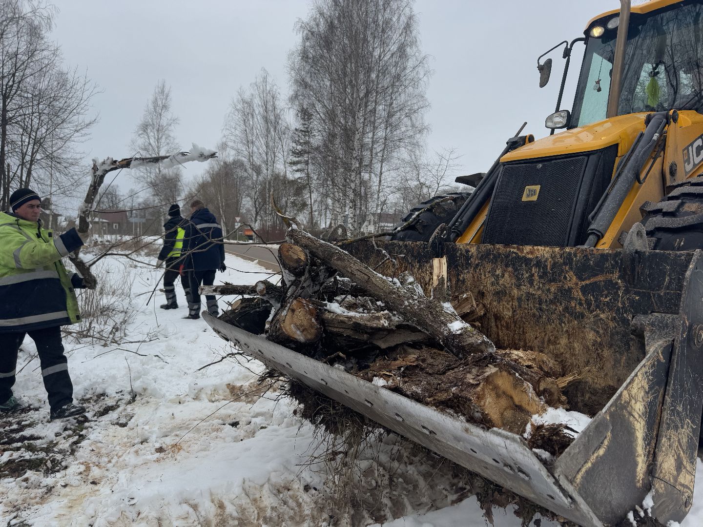 шаховская, выездная администиация, аварийное дерево,