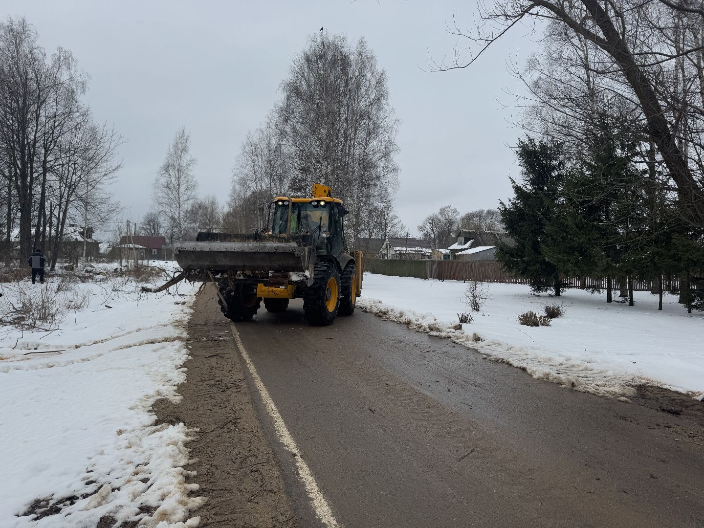 шаховская, выездная администиация, аварийное дерево,