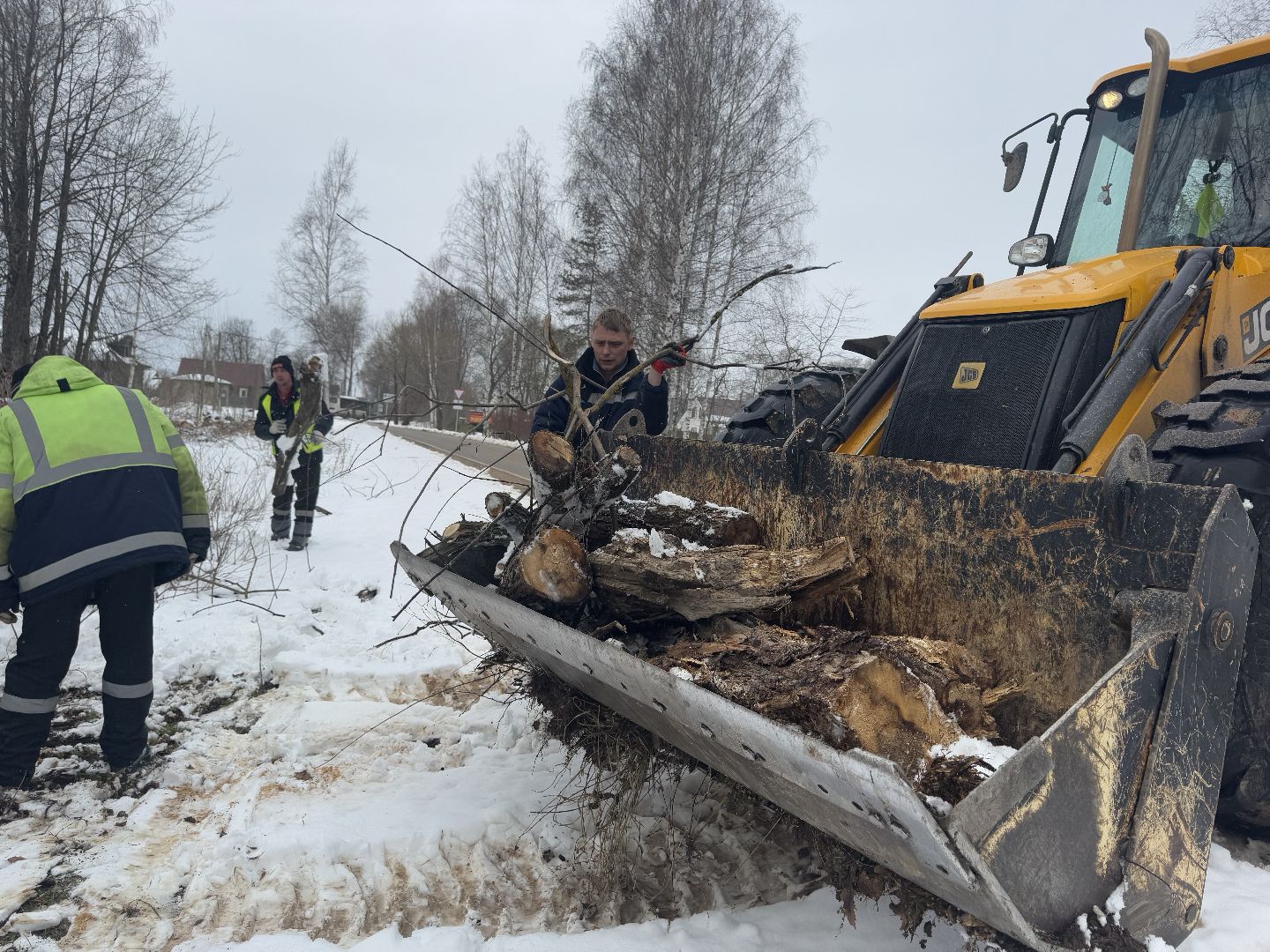 шаховская, выездная администиация, аварийное дерево,