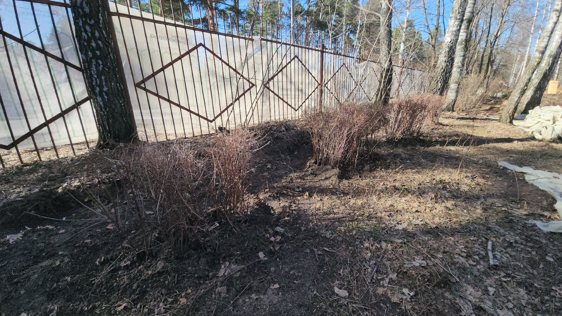 люберцы, летний парк в малаховке, благоустройство, формирование комфортной городской среды,