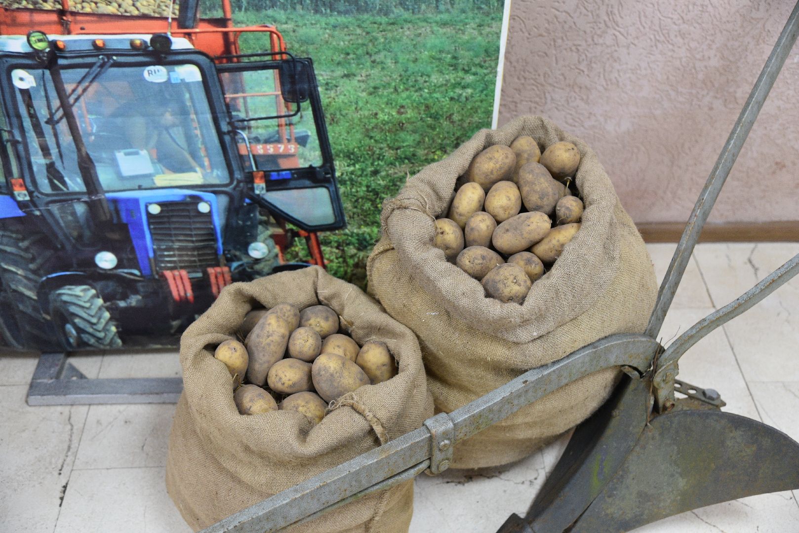 лотошино, глава муниципалитета, день труда подмосковья,