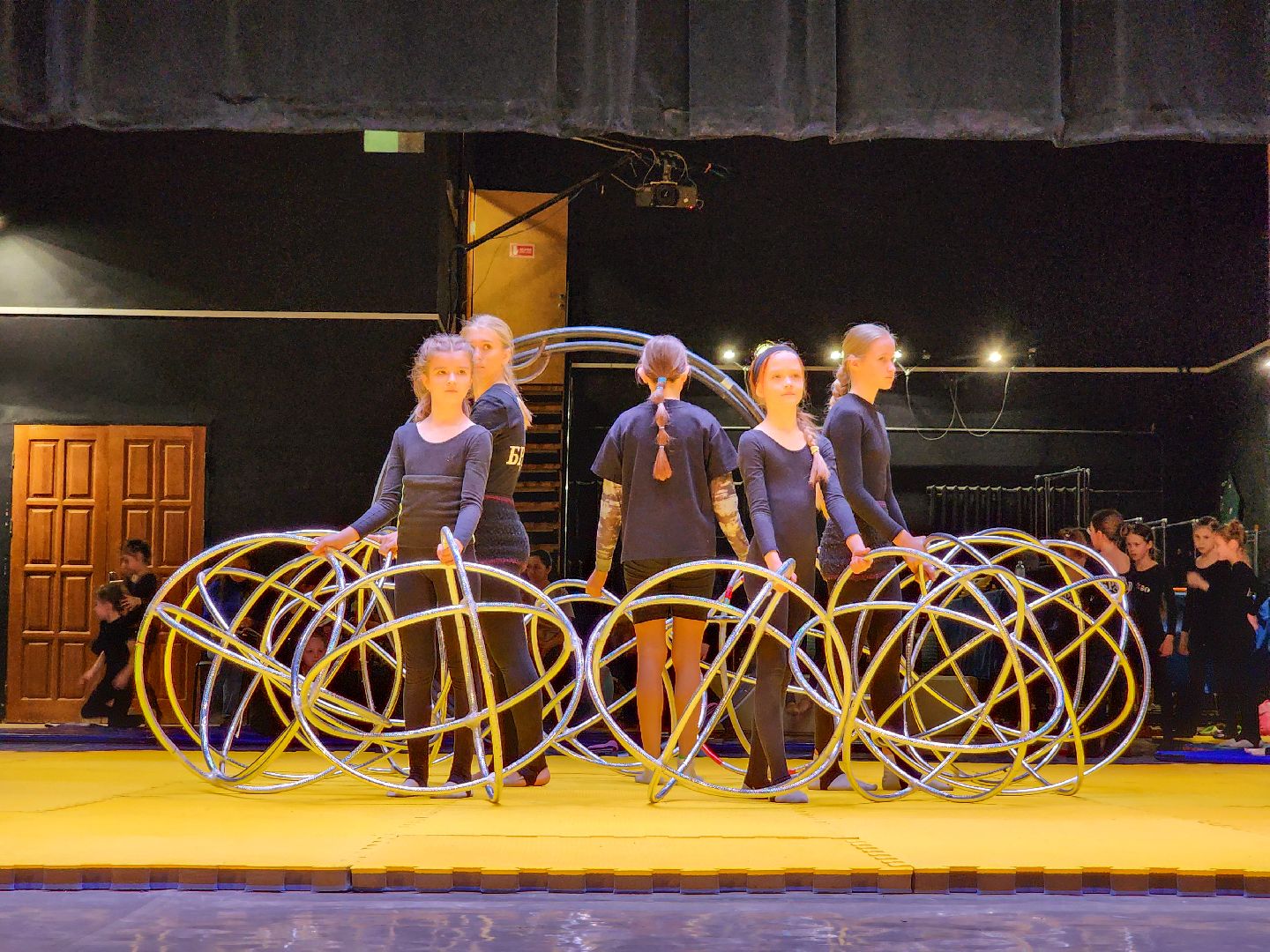 Подольск, браво, цирковое искусство, концерт,