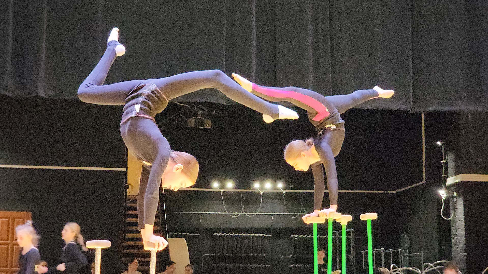 Подольск, браво, цирковое искусство, концерт,