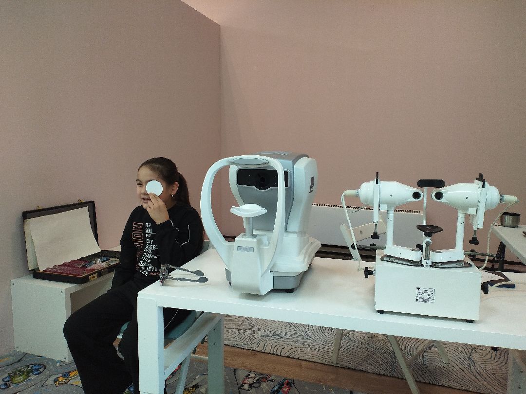 Лосино-Петровский, общество