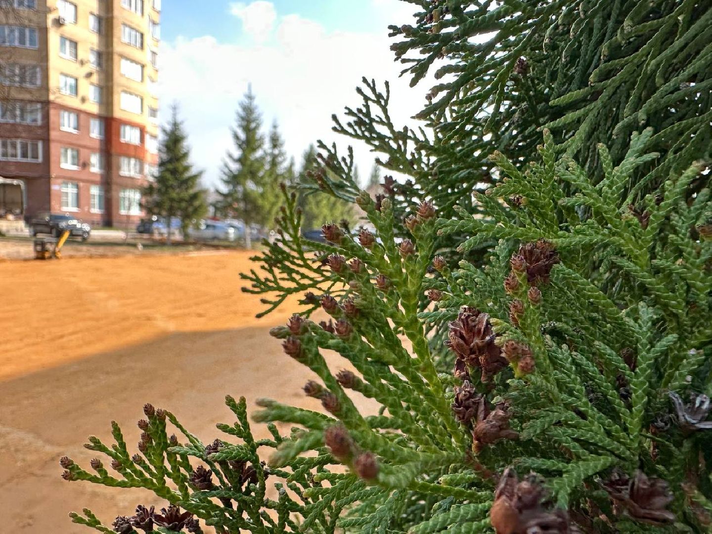 Можайск, Можайский городской округ, Подмосковье, детские площадки, губернаторская программа, дети, Добродел, благоустройство