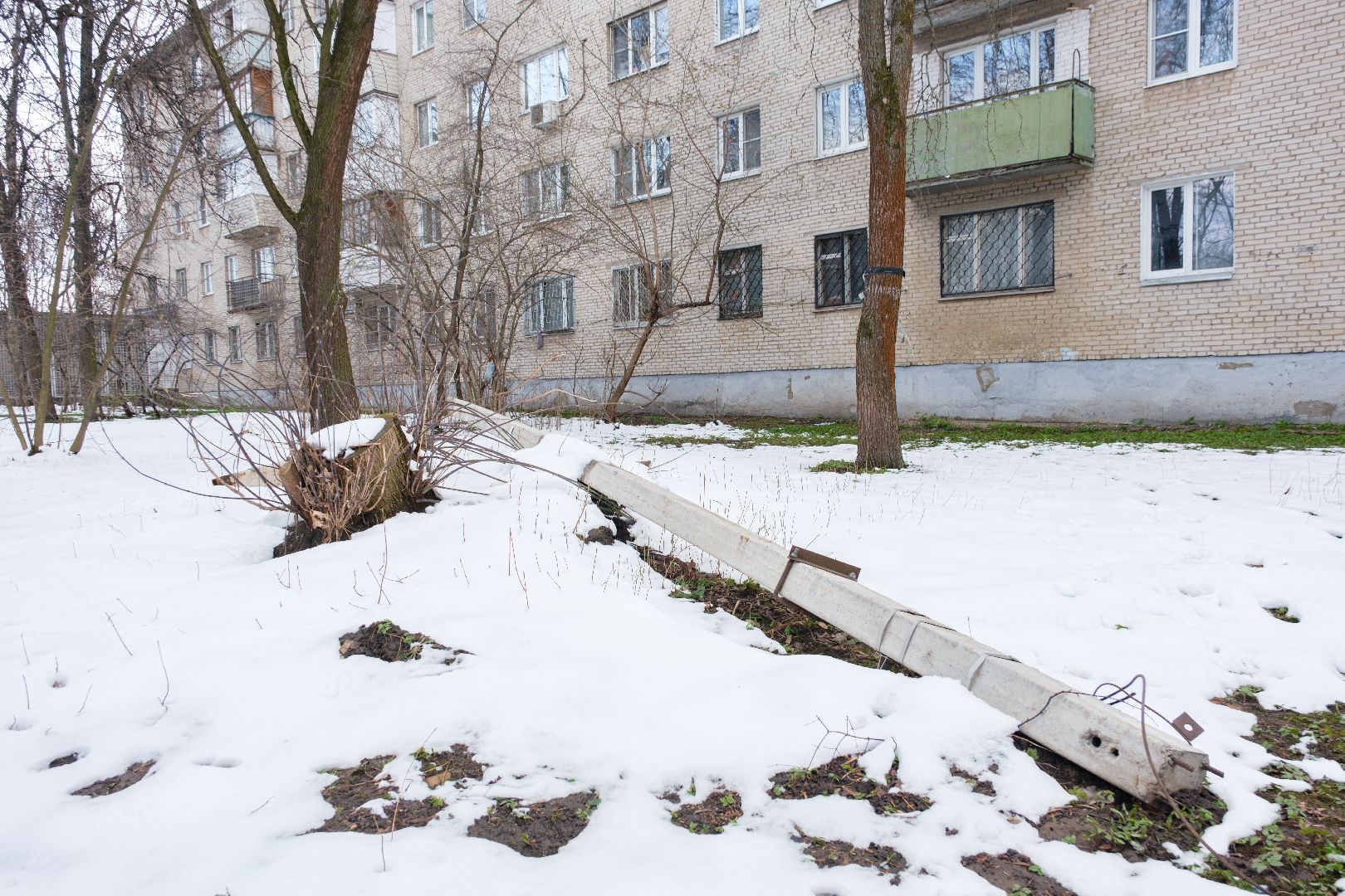 лыткарино, общество, выездная администиация,