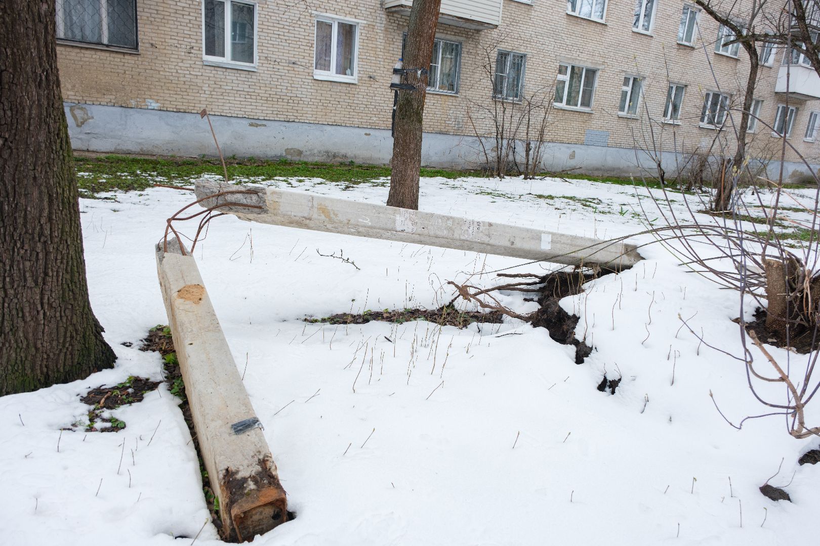 лыткарино, общество, выездная администиация,