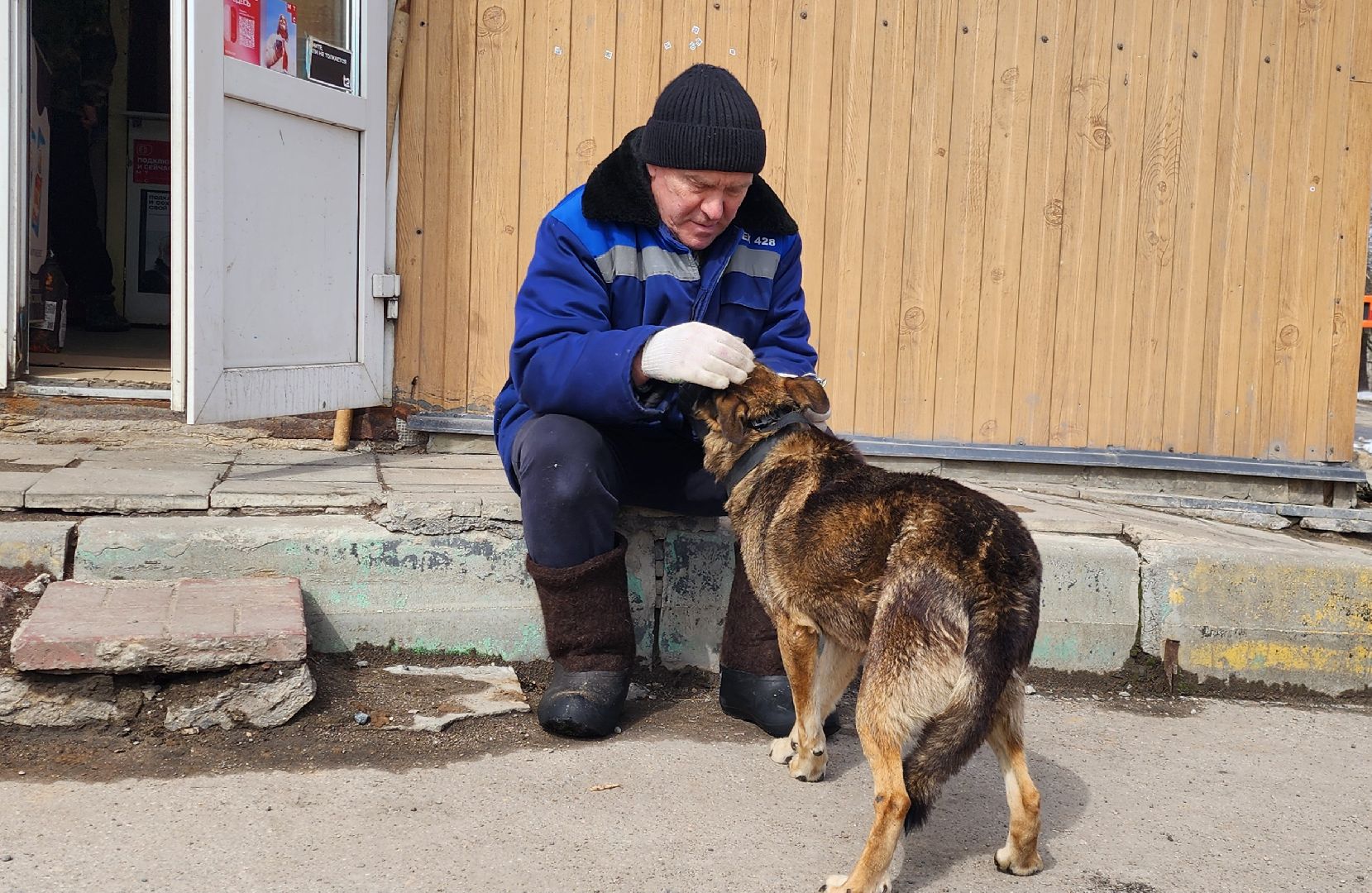 Химки, вакцинация животных, вакцинация от бешенства,