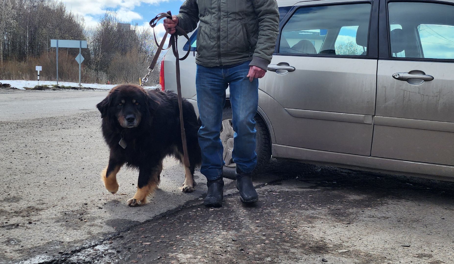 Химки, вакцинация животных, вакцинация от бешенства,